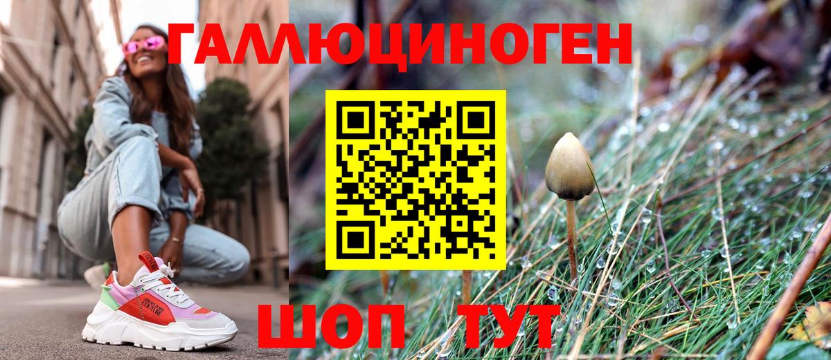 Псилоцибиновые грибы Cubensis Балашов