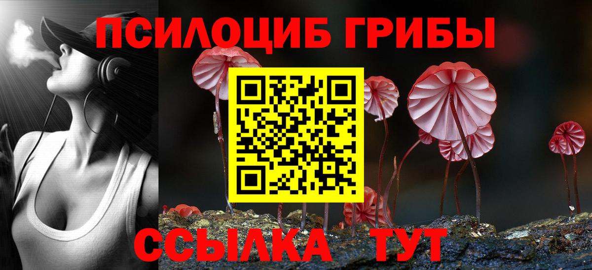 Балашов  Псилоцибиновые грибы ЛСД  Вход с VPN  Галлюциногенные грибы мицелий 